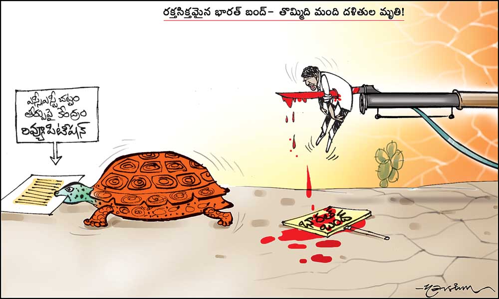 Click to Enlaege Cartoon